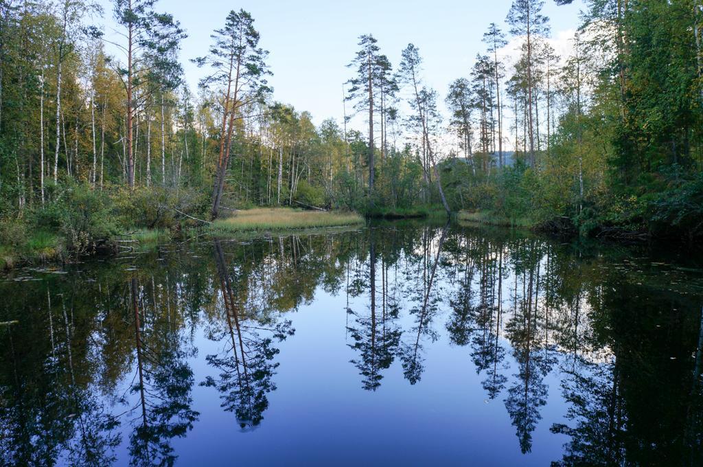Savolax Stugor Axland Cameră foto